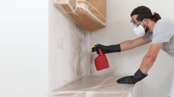 Professional Mold Testing technician working in Wyncote, PA